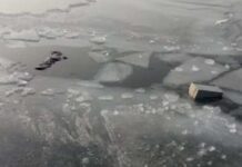 Милиция начала проверку по факту гибели 6-летнего ребенка в Бишкеке