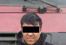 Нарында жөө жүргүнчүнү өлтүрө сүзүп качкан айдоочу кармалды