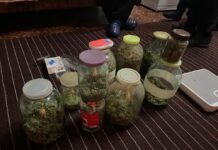 В Чуйской области пенсионер организовал у себя дома нарколабораторию