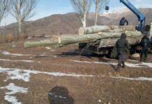 Нарында мыйзамсыз 6 миңдей түп дарак кыйылган