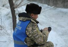 Милота дня: сотрудник МЧС спас замерзающего голубя