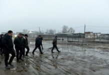 По колено в грязи. Акылбек Жапаров поручил навести порядок на скотном рынке Сокулука
