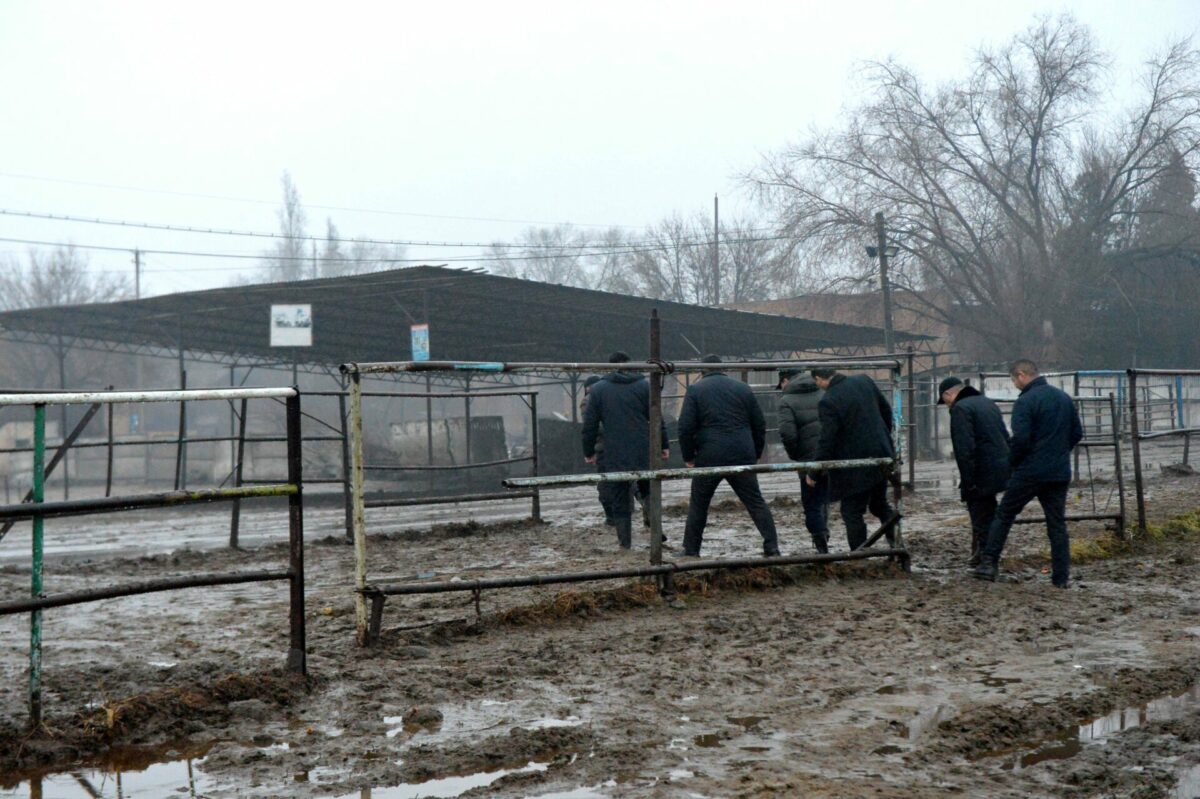 63bba78c519e1 По колено в грязи. Акылбек Жапаров поручил навести порядок на скотном рынке Сокулука
