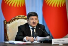 Жапаров: “Тоо-кен тармагынан 48,3 млрд сом киреше кирди”