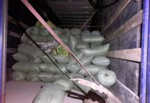 В Кыргызстан контрабандой пытались провезти 13 тонн насвая