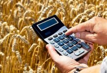 «Внедрение ЭТТН приведет к росту цен на продукты», — обращение АПК к властям