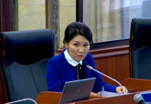 “Бул берене боюнча айрым жаштар камалган”: Депутат «Аймак аралык касташууну тутандыруу» беренеси боюнча кеп козгоду