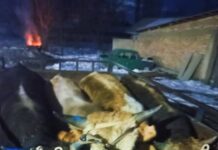 Өзбекстанга бодо мал жүктөп бараткан жаран кармалды