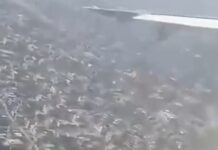 Пассажир снял на телефон момент крушения самолёта в Непале