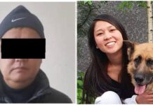 Горсуд оставил водителя, сбившего насмерть курсантку МВД, под домашним арестом