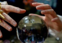 Ишеним жараткан көзү ачыктардын ишмердүүлүгү мыйзамдуубу?