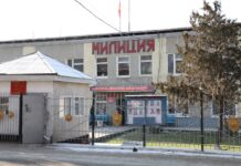 Лейлекте мамлекеттик чек арадан мыйзамсыз өткөн жаран кармалды