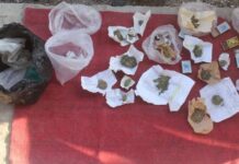 Кадамжайда баңгизат сатып жүргөн жаран кармалды