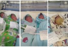 Тажикстанда алты эм төрөлүп, баары тең чарчап калды