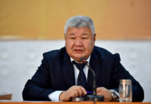 Таалайбек Ибраев: Улуттук энергохолдинг жоюлат