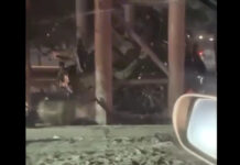 В ГУОБДД сообщили подробности смертельной аварии в Бишкеке