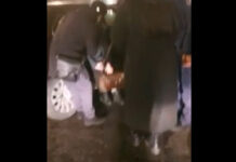 Возле Театра оперы и балета в Бишкеке сбили девушку — видео