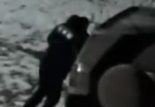 В соцсетях появилось видео с пьяным инспектором ГУОБДД. Ведомство начало проверку