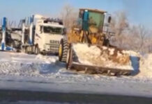 Кыргызстанец 6 суток провел в степи Казахстана рядом со своим автовозом