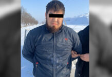 МВД: Задержан третий соучастник убийства члена ОПГ