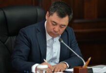 Энергетикалык бөлүштүрүүчү жеке ортомчу компаниялардын саны кыскарды