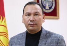 Түмөнбай Колдошов маданият жана искусство университетинин ректору болду