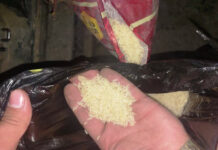 Бажы кызматкерлери эки тоннадан ашык аткезчилик күрүчтү ташыган жаранды кармашты