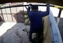 Турак жайларга уурулукка кирип жүргөн шектүү кармалды