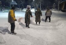 Бишкекте сейил бактардагы карлар күрөлдү