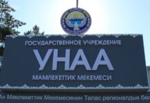 Былтыр «Унаа» мекемесинен бюджетке 1,4 млрд сом түшкөн