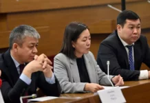 Кесиптик билим берүү уюмдарынын өзүн өзү каржылашы мүмкүн