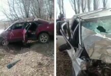 На Иссык-Куле в ДТП погибла годовалая девочка