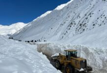 45 жаштагы жаранды кар көчкү басып каза болду