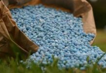 Жер семирткичтерди чет жакка экспорттоого тыюу салынды