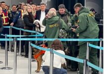 Часть кыргызстанских спасателей возвращаются из Турции. Им предоставили бизнес-класс