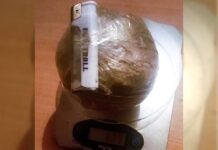 Түрмөгө баңгизат киргизүүгө аракет кылган эки жаран кармалды