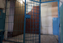 Женщину, избившую свою двухлетнюю дочь в Кадамджае, арестовали на месяц