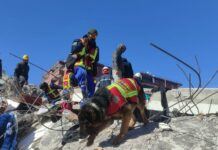 Буту жабыркаган ит урандылардын астынан беш адамды тапты