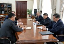 Акылбек Жапаров АКШнын элчисин кабыл алды
