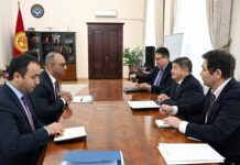 Акылбек Жапаров и представитель ВБ обсудили реализацию проектов зеленой энергетики