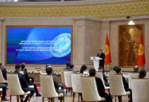 Глава кабмина вручил госнаграды представителям физкультуры и спорта — фото