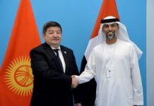 Жапаров БАЭнин энергетика жана инфраструктура министри менен жолукту