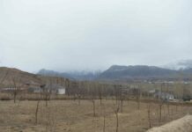 Баткенде 9,8 гектар жер менчикке мыйзамсыз берилип кеткен