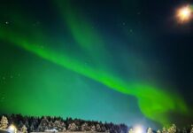 “Ажайып кооз, керемет”: Планетабыздын ар кайсы өлкөлөрүндөгү түндүк жаркыроосу, – сүрөт, видео