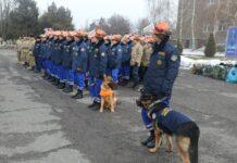 Кыргызстан направит группу спасателей в Турцию для помощи