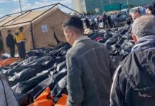 Число погибших при землетрясении в Турции и Сирии превысило 5 тысяч человек