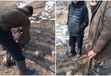 На Иссык-Куле задержали браконьера с незаконной добычей — видео