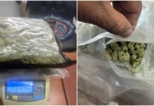 Марихуану поставляли из США в КР через почту. Изъяты наркотики на $60 тысяч