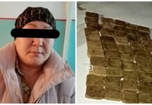 На посту «Чычкан» задержали женщину с 650 гр. гашиша