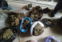 У жителя Ала-Букинского района в доме нашли больше 20 кг марихуаны